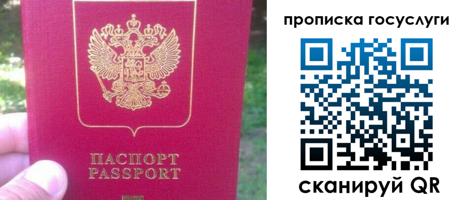 временная регистрация собственник в Черноголовке